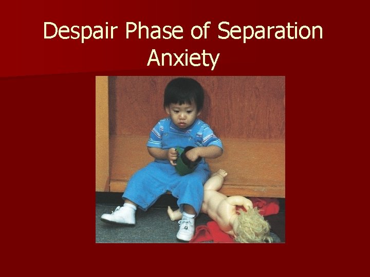 Despair Phase of Separation Anxiety 
