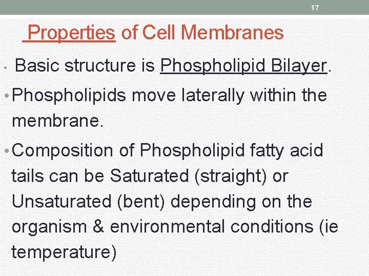 17 Properties of Cell Membranes • Basic structure is Phospholipid Bilayer. • Phospholipids move