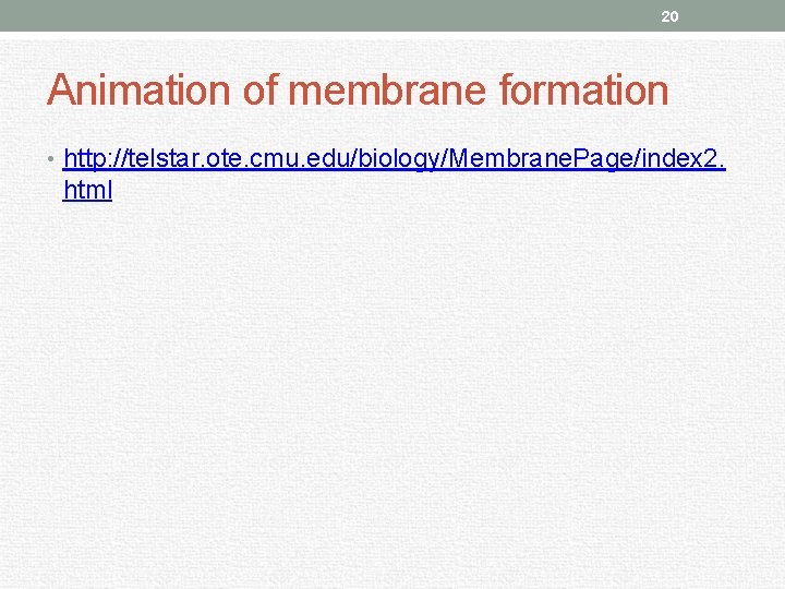 20 Animation of membrane formation • http: //telstar. ote. cmu. edu/biology/Membrane. Page/index 2. html
