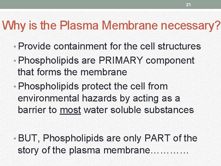 21 Why is the Plasma Membrane necessary? • Provide containment for the cell structures
