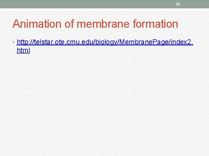 31 Animation of membrane formation • http: //telstar. ote. cmu. edu/biology/Membrane. Page/index 2. html