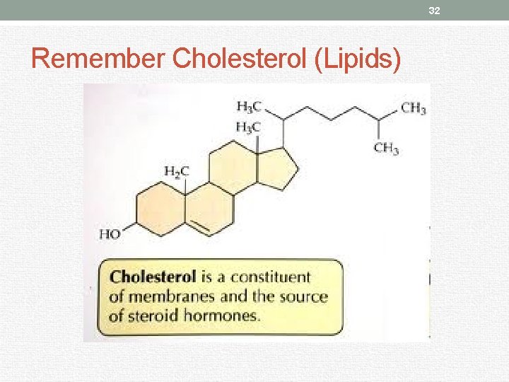 32 Remember Cholesterol (Lipids) 