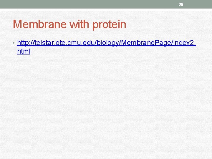 38 Membrane with protein • http: //telstar. ote. cmu. edu/biology/Membrane. Page/index 2. html 