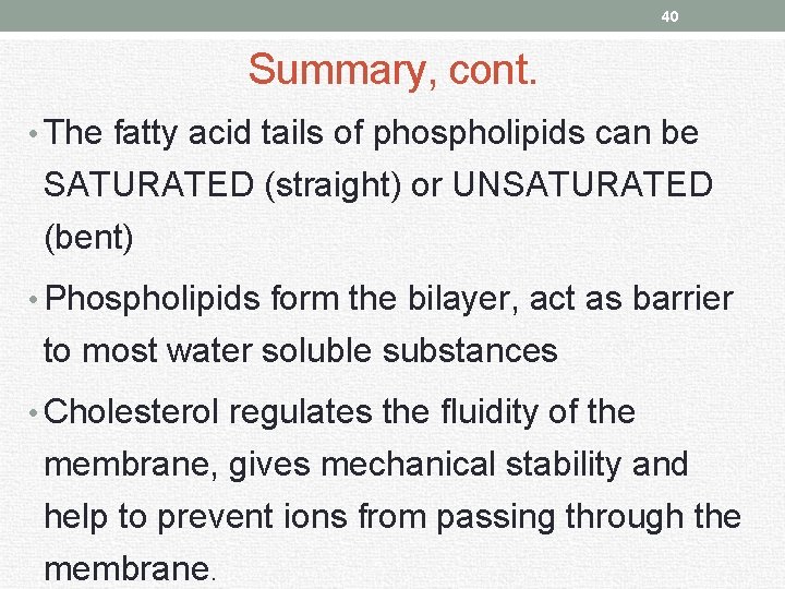 40 Summary, cont. • The fatty acid tails of phospholipids can be SATURATED (straight)