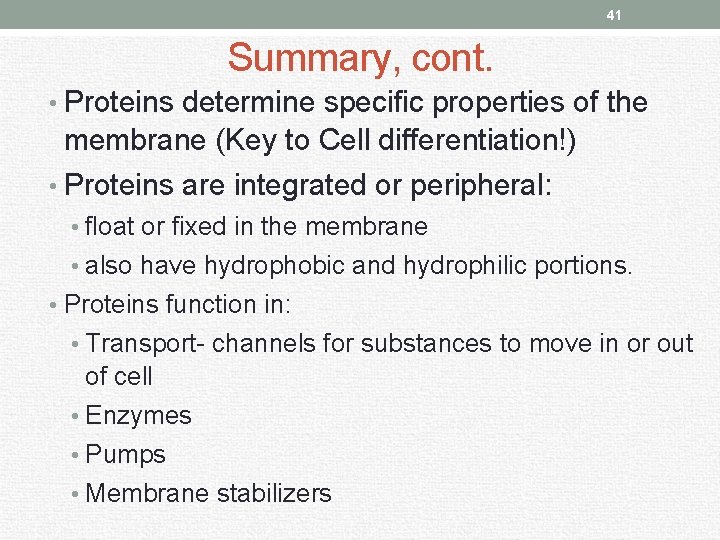 41 Summary, cont. • Proteins determine specific properties of the membrane (Key to Cell