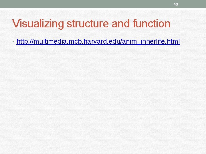 43 Visualizing structure and function • http: //multimedia. mcb. harvard. edu/anim_innerlife. html 