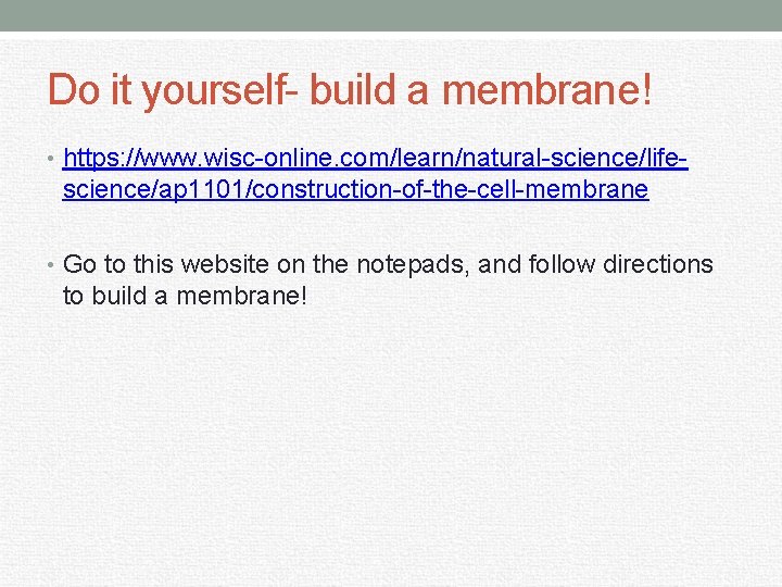 Do it yourself- build a membrane! • https: //www. wisc-online. com/learn/natural-science/life- science/ap 1101/construction-of-the-cell-membrane •