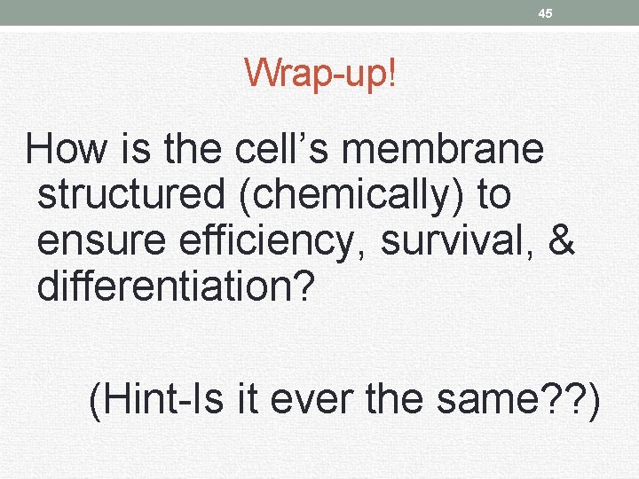 45 Wrap-up! How is the cell’s membrane structured (chemically) to ensure efficiency, survival, &
