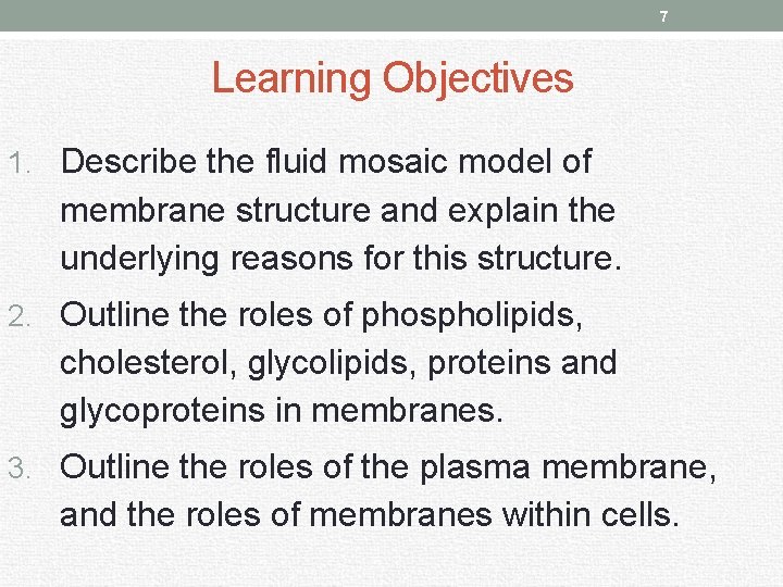 7 Learning Objectives 1. Describe the fluid mosaic model of membrane structure and explain