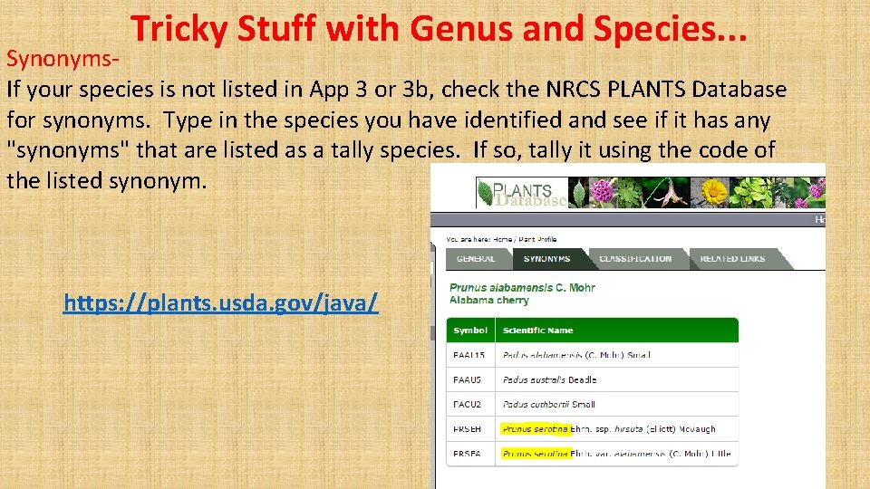 Tricky Stuff with Genus and Species. . . Synonyms. If your species is not