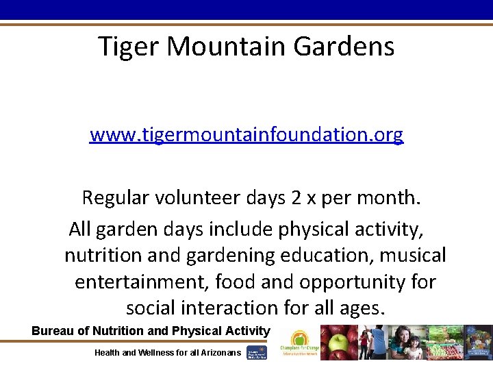 Tiger Mountain Gardens www. tigermountainfoundation. org Regular volunteer days 2 x per month. All