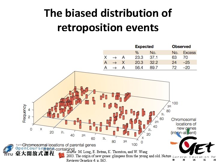 The biased distribution of retroposition events Source: M. Long, E. Betran, K. Thornton, and