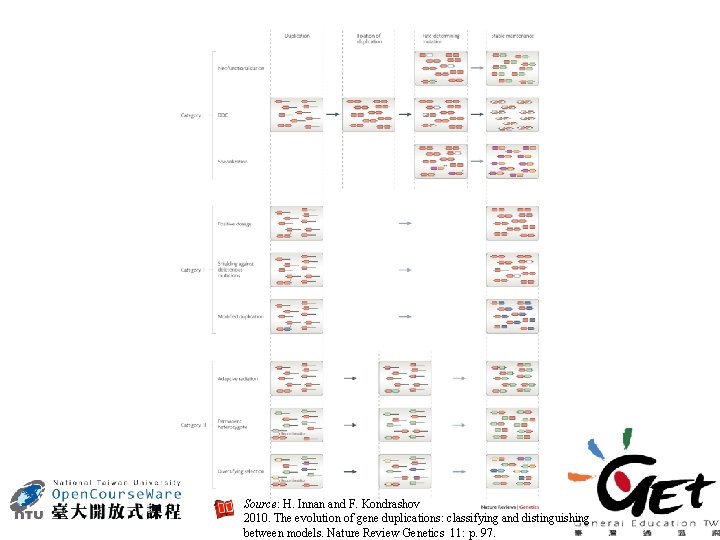 Source: H. Innan and F. Kondrashov 2010. The evolution of gene duplications: classifying and