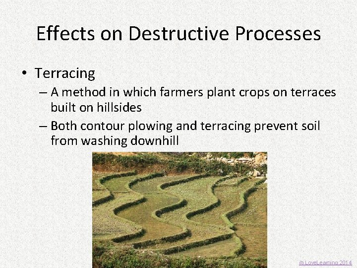 Effects on Destructive Processes • Terracing – A method in which farmers plant crops
