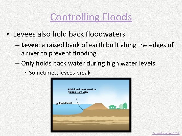 Controlling Floods • Levees also hold back floodwaters – Levee: a raised bank of