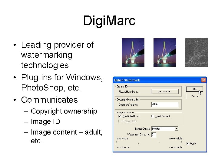 Digi. Marc • Leading provider of watermarking technologies • Plug-ins for Windows, Photo. Shop,