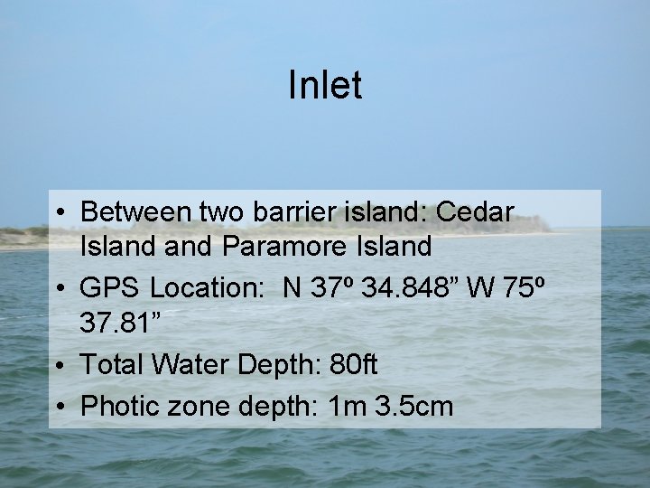 Inlet • Between two barrier island: Cedar Island Paramore Island • GPS Location: N
