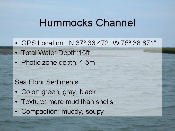 Hummocks Channel • GPS Location: N 37º 36. 472” W 75º 38. 671” •