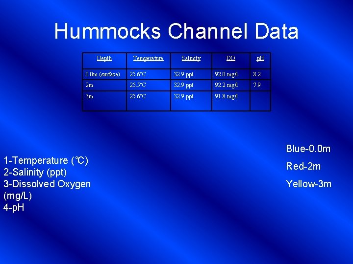 Hummocks Channel Data Depth Temperature Salinity DO p. H 0. 0 m (surface) 25.