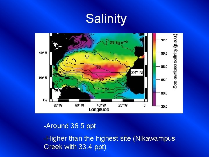 Salinity -Around 36. 5 ppt -Higher than the highest site (Nikawampus Creek with 33.