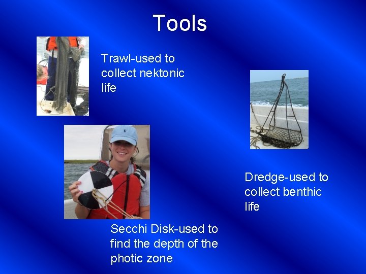 Tools Trawl-used to collect nektonic life Dredge-used to collect benthic life Secchi Disk-used to