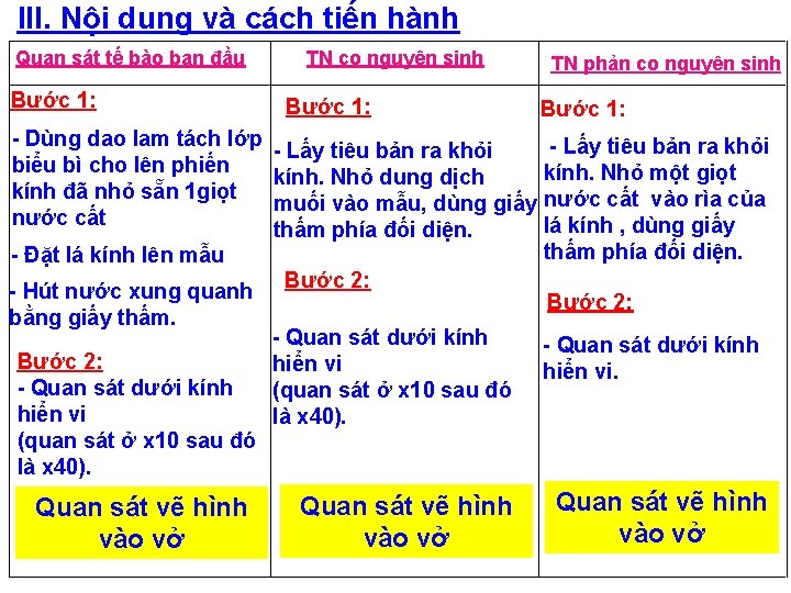 III. Nội dung và cách tiến hành Quan sát tế bào ban đầu Bước