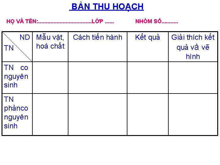 BẢN THU HOẠCH HỌ VÀ TÊN: . . LỚP. . . ND Mẫu vật,