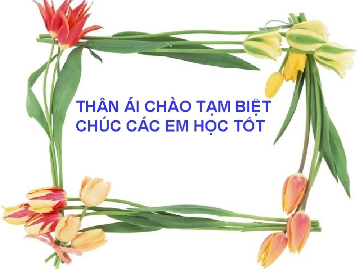 TH N ÁI CHÀO TẠM BIỆT CHÚC CÁC EM HỌC TỐT 