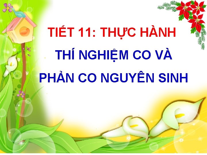 TIẾT 11: THỰC HÀNH THÍ NGHIỆM CO VÀ PHẢN CO NGUYÊN SINH 
