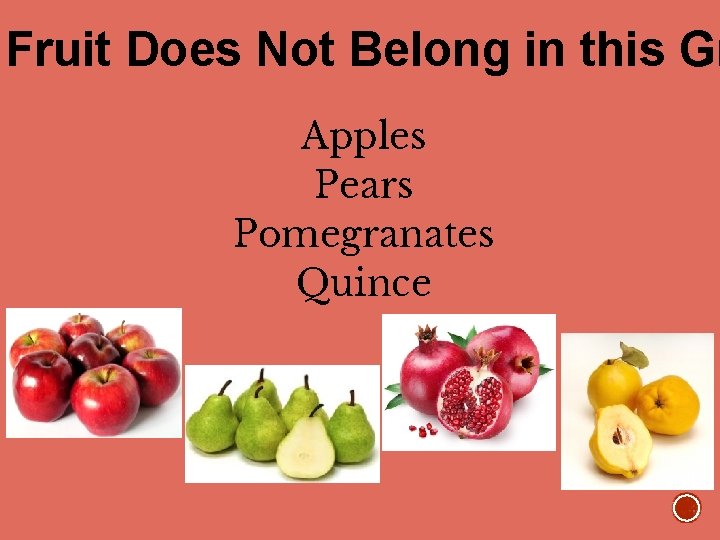 Fruit Does Not Belong in this Gr Apples Pears Pomegranates Quince 