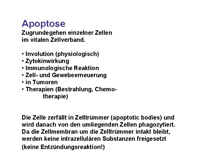 Apoptose Zugrundegehen einzelner Zellen im vitalen Zellverband. • Involution (physiologisch) • Zytokinwirkung • Immunologische