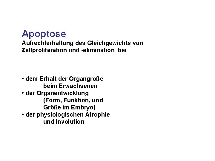 Apoptose Aufrechterhaltung des Gleichgewichts von Zellproliferation und -elimination bei • dem Erhalt der Organgröße