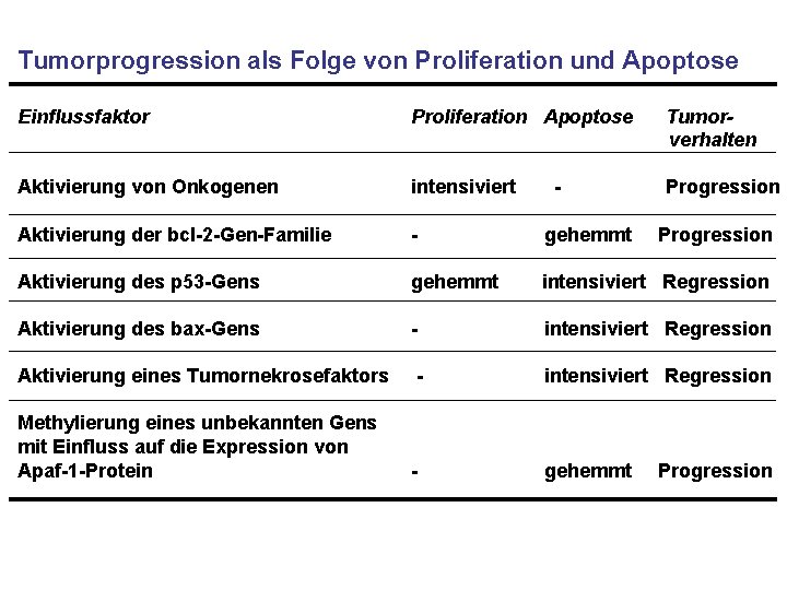 Tumorprogression als Folge von Proliferation und Apoptose Einflussfaktor Proliferation Apoptose Tumorverhalten Aktivierung von Onkogenen