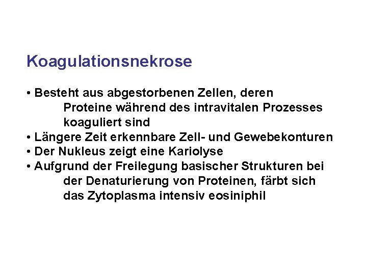 Koagulationsnekrose • Besteht aus abgestorbenen Zellen, deren Proteine während des intravitalen Prozesses koaguliert sind