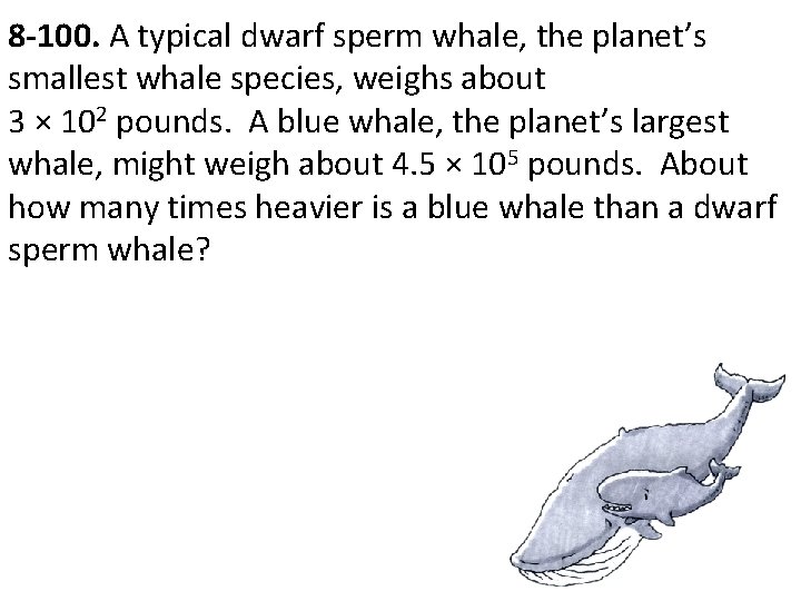 8 -100. A typical dwarf sperm whale, the planet’s smallest whale species, weighs about