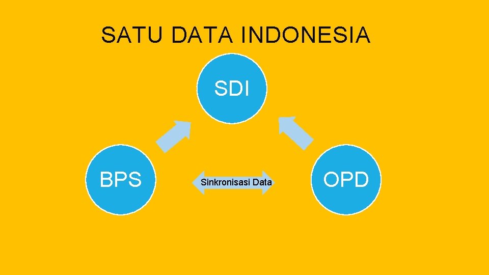 SATU DATA INDONESIA SDI BPS Sinkronisasi Data OPD 