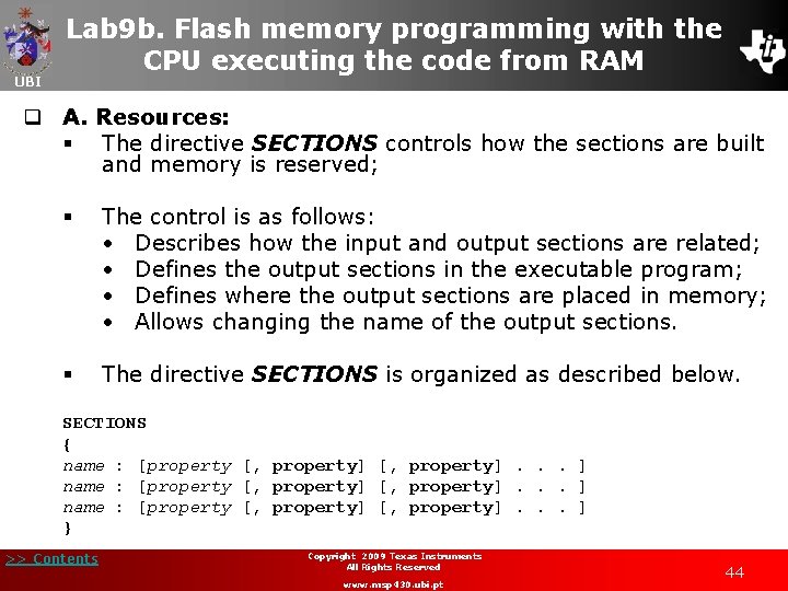 UBI Lab 9 b. Flash memory programming with the CPU executing the code from