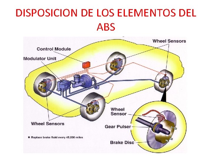 DISPOSICION DE LOS ELEMENTOS DEL ABS 