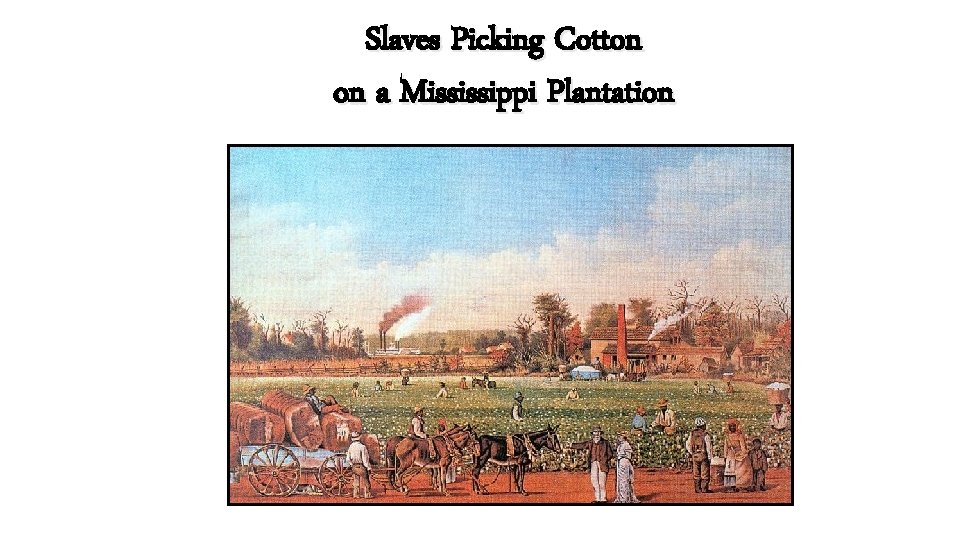 Slaves Picking Cotton on a Mississippi Plantation 