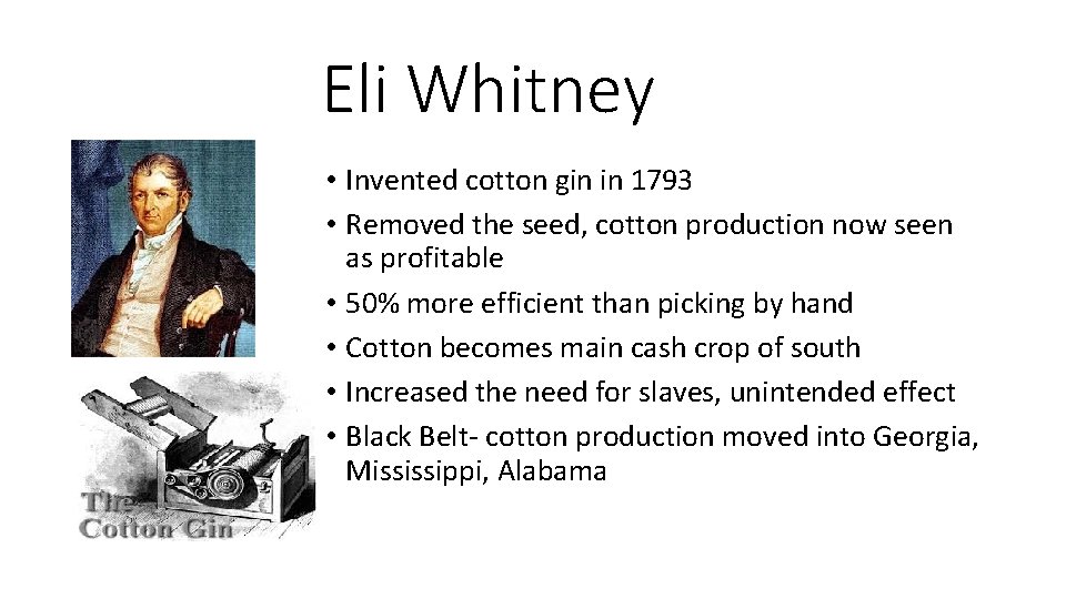 Eli Whitney • Invented cotton gin in 1793 • Removed the seed, cotton production