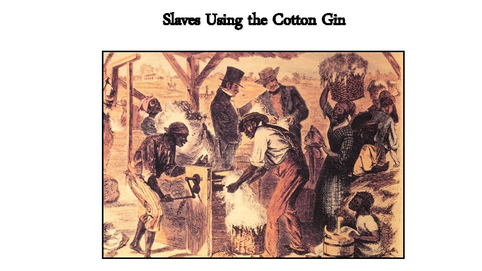 Slaves Using the Cotton Gin 