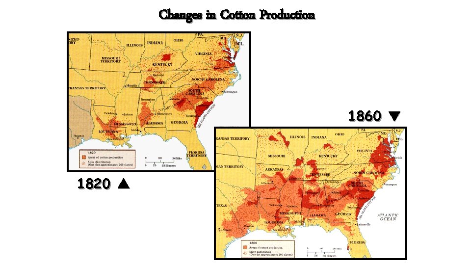 Changes in Cotton Production 1860 ▼ 1820 ▲ 