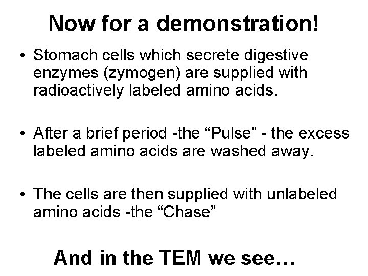 Now for a demonstration! • Stomach cells which secrete digestive enzymes (zymogen) are supplied