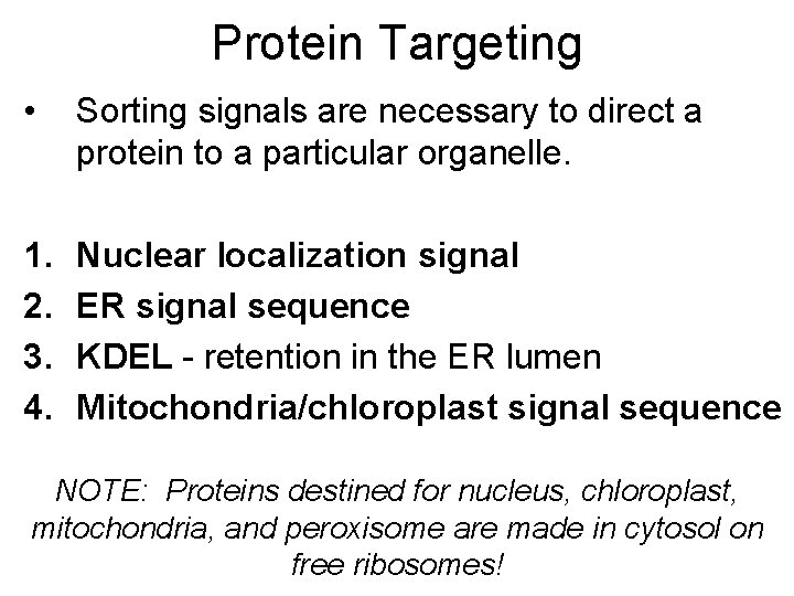 Protein Targeting • Sorting signals are necessary to direct a protein to a particular