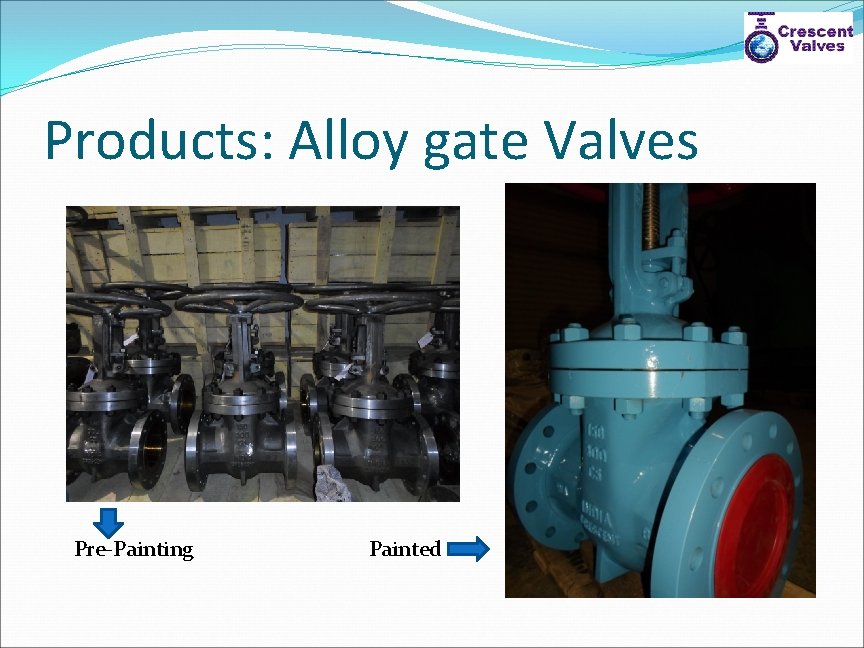 Products: Alloy gate Valves Pre-Painting Painted 