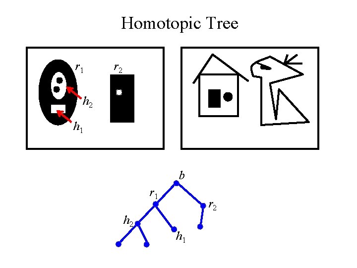 Homotopic Tree r 1 r 2 h 1 b r 1 r 2 h