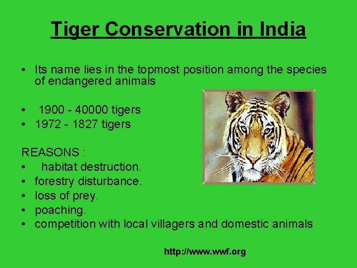 Tiger Conservation in India • Its name lies in the topmost position among the