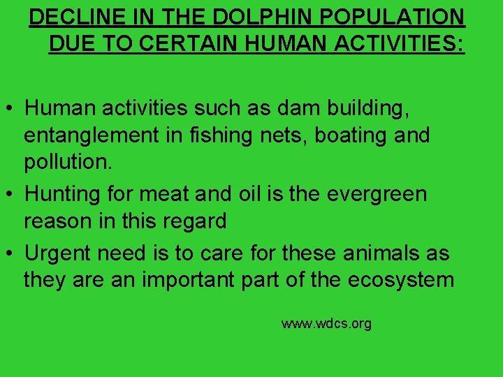 DECLINE IN THE DOLPHIN POPULATION DUE TO CERTAIN HUMAN ACTIVITIES: • Human activities such