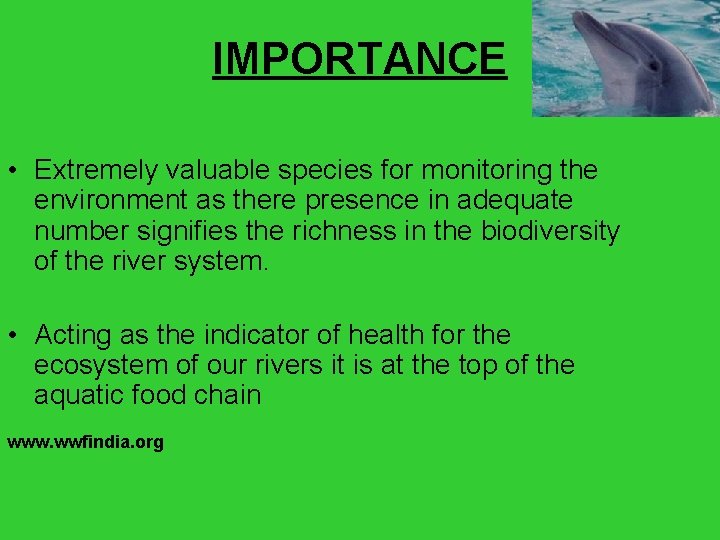 IMPORTANCE • Extremely valuable species for monitoring the environment as there presence in adequate