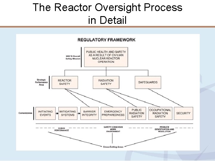 The Reactor Oversight Process in Detail 
